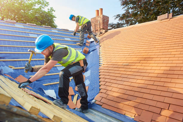 Best Roof Maintenance and Cleaning  in Paradise Valley, AZ